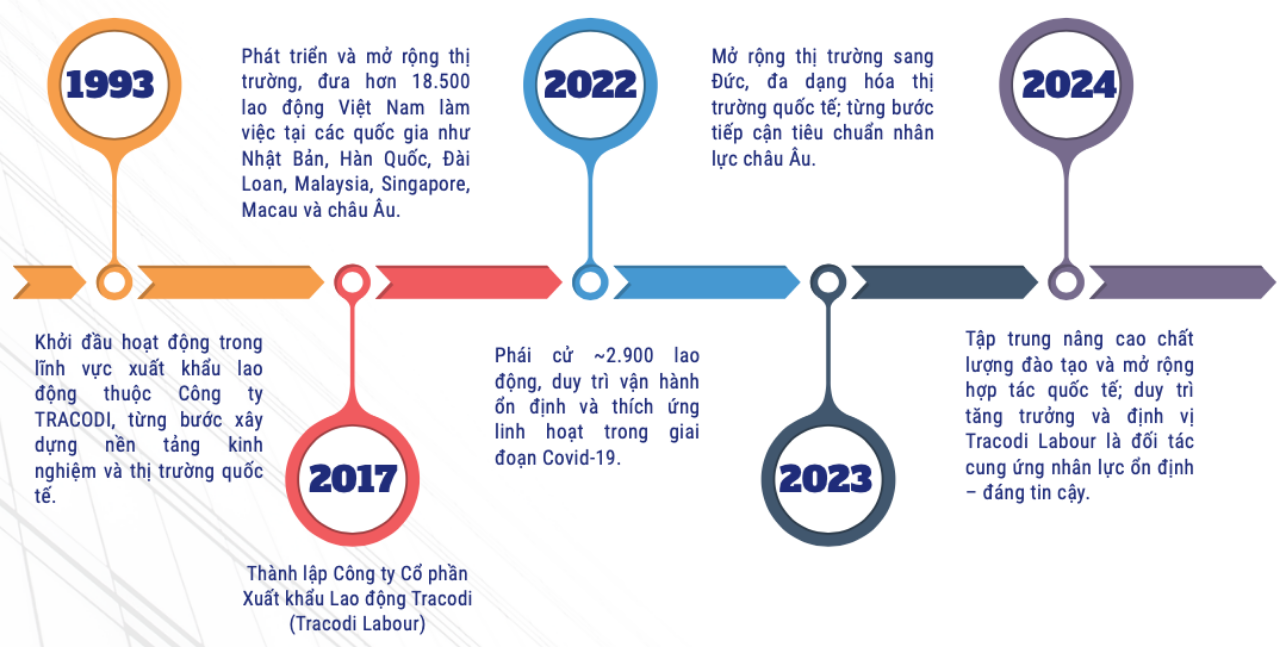 Quy trình tư vấn nghề nghiệp quốc tế của Tracodi Labour